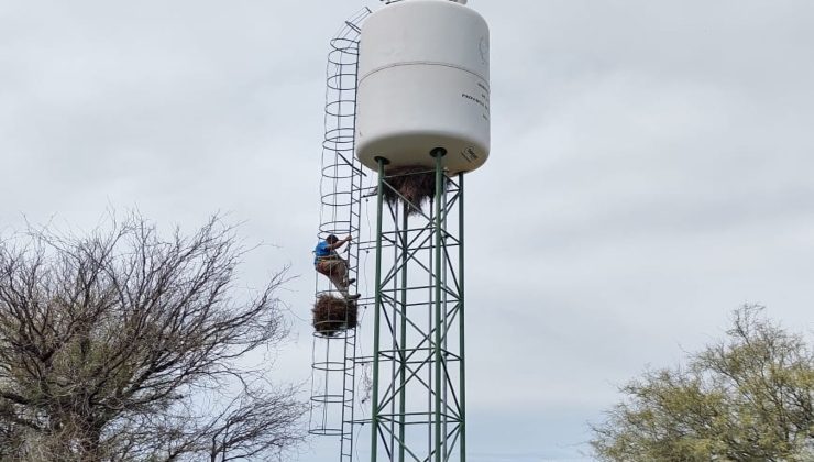 San Luis Agua realizó tareas de mantenimiento y reparación en plantas cloradoras