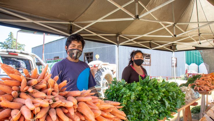 Productores y vecinos destacaron una nueva apertura al público de Sol Puntano