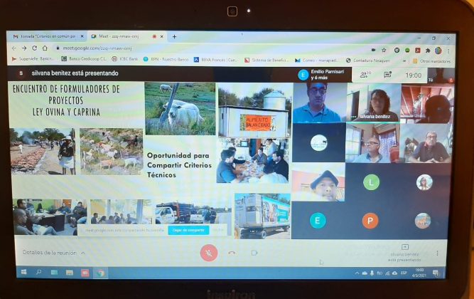 Realizaron el primer encuentro virtual de formuladores de proyectos de la ley ovina y caprina para San Luis