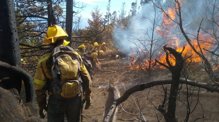 Brigadistas puntanos siguen trabajando para controlar el fuego en la zona de El Bolsón