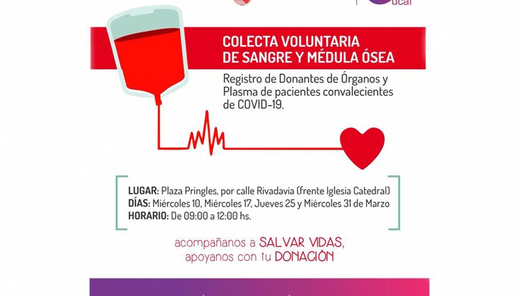 Inician una nueva campaña de donación de sangre, médula ósea, órganos y tejidos