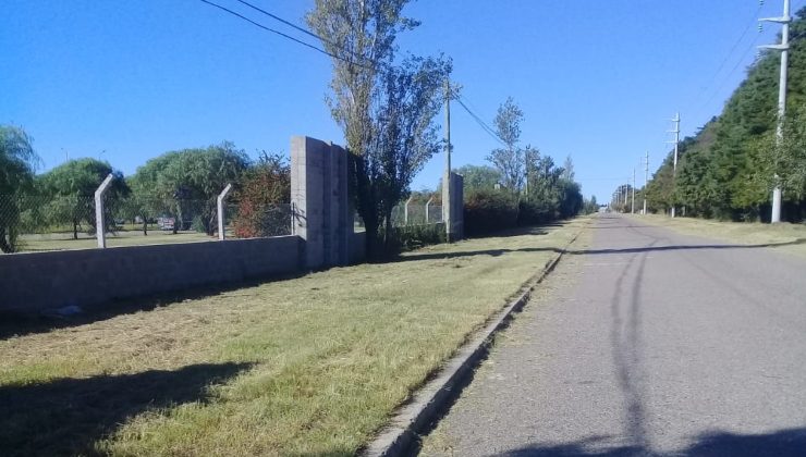 Realizan tareas de limpieza y desmalezado en el Parque Industrial Sur