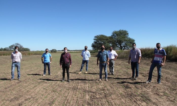 El Gobierno de la provincia cultiva alfalfa para disminuir el desbalance hídrico de la Cuenca del Morro