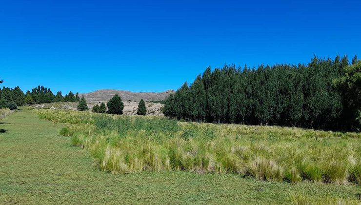 Jueves con cielo despejado, temperaturas frescas y viento leve del norte