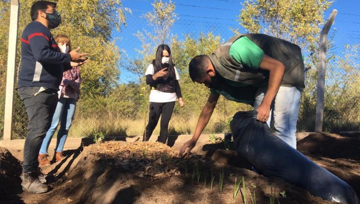 Instalaron una huerta agroecológica en el hospital de El Trapiche