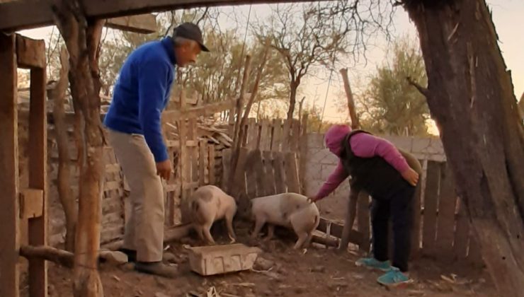 Brindaron asistencia sanitaria y entregaron animales porcinos en el paraje Boca de Tigre