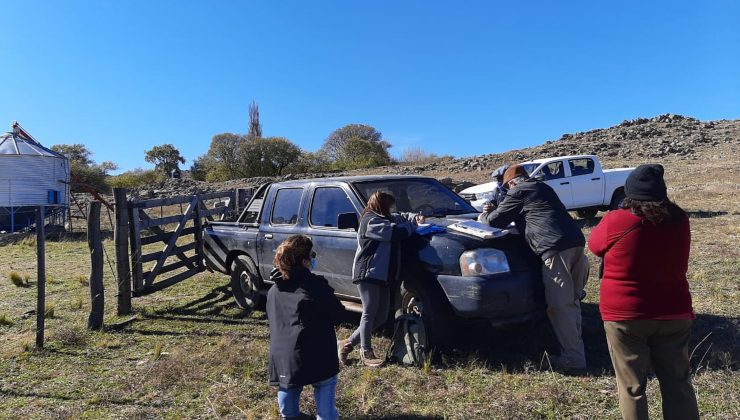 Continúa el acompañamiento a productores que llevan adelante proyectos ovinos