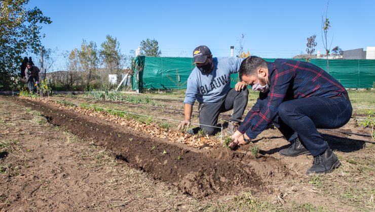 El Ministerio de Producción armó una huerta agroecológica en la Casa San José