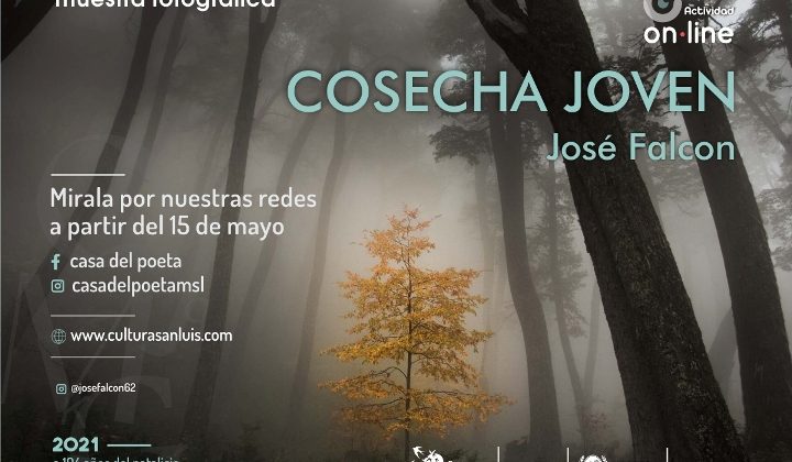 Casa del Poeta: inaugurarán la muestra virtual de José Falcón