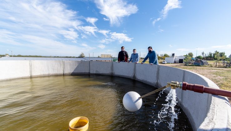 Realizan mejoras en el módulo genético de “Sol Puntano”