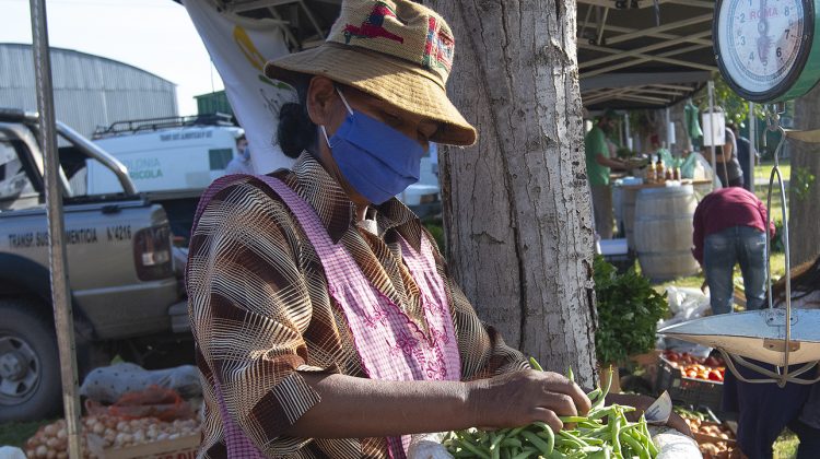 Con gran variedad de productos, Sol Puntano realizará otra jornada de venta directa