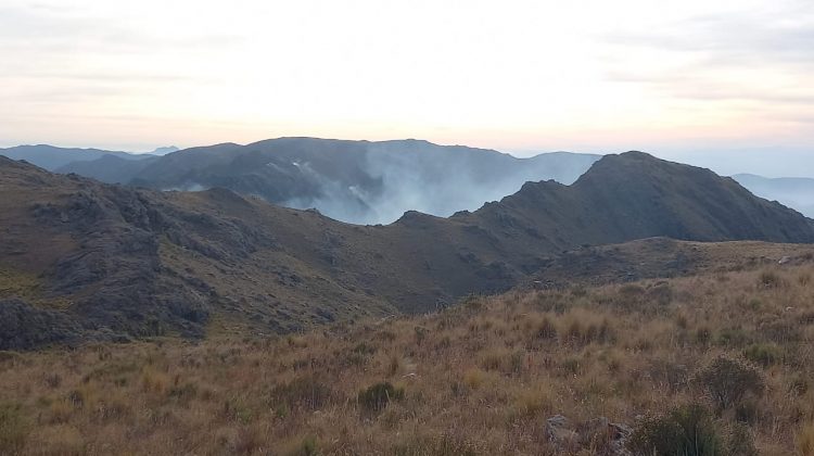 Bomberos y brigadistas sofocaron un incendio en cercanías de Río Grande