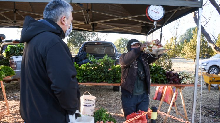 Ya se vive una nueva jornada de venta directa en Sol Puntano