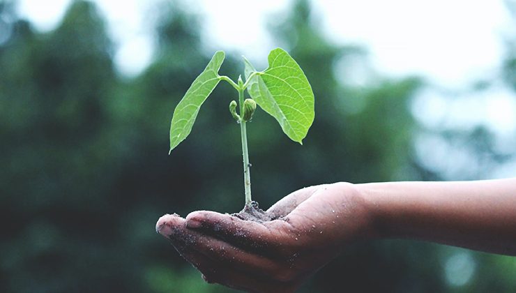 Este lunes se realizará la Promesa Ambiental