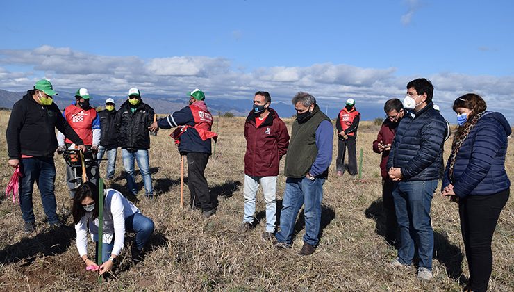 El Plan Forestal “Más Árboles, Más Vida” comenzó a llenar de verde el tramo que une Quines con Candelaria