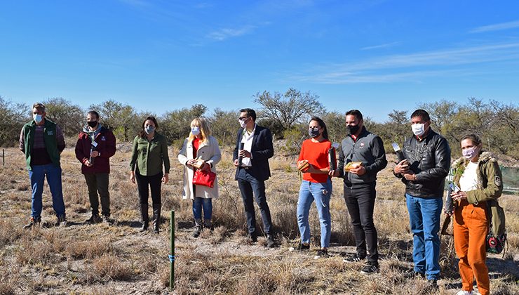 Comenzó la forestación del tramo que unirá con árboles las localidades de Beazley y San Luis