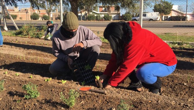 El Ministerio de Producción armó una huerta agroecológica en el Hogar Municipal de Mujeres Víctimas de Violencia