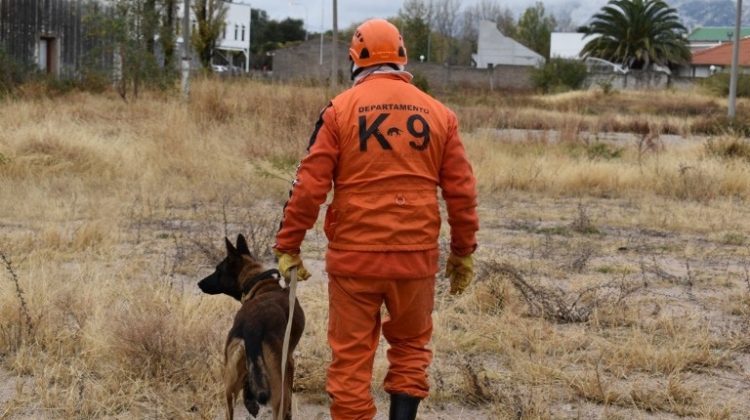 Búsqueda de Guadalupe: Córdoba y San Juan aportan brigadistas, perros de rastreo y analistas en comportamiento criminal y Nación sumó efectivos de la Policía Federal