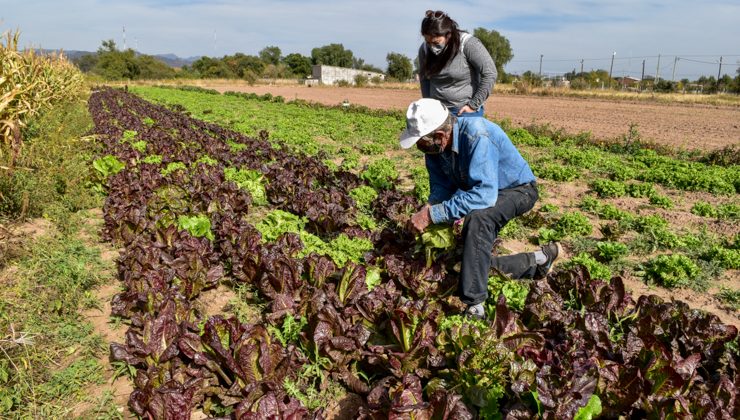 El Ministerio de Producción acompaña a los beneficiarios del Plan de Activación Productiva Frutihortícola