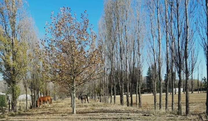 El viento sur aporta frío a la jornada