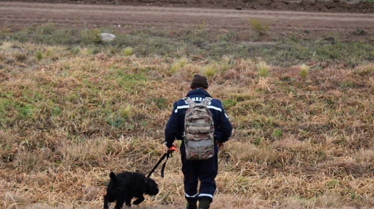 La Pampa sumó perros de rastreo y Mendoza aporta drones para la búsqueda de Guadalupe