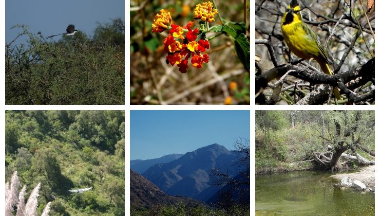 Las Áreas Naturales Protegidas reabrieron sus puertas con nuevos horarios