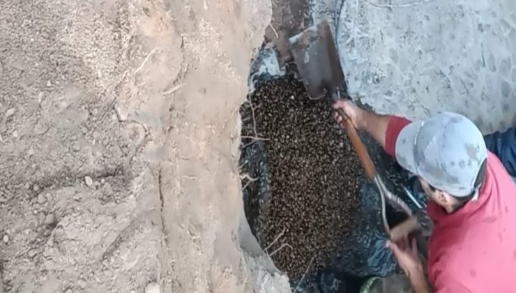 San Luis Agua realizó intervenciones en el Acueducto San Luis