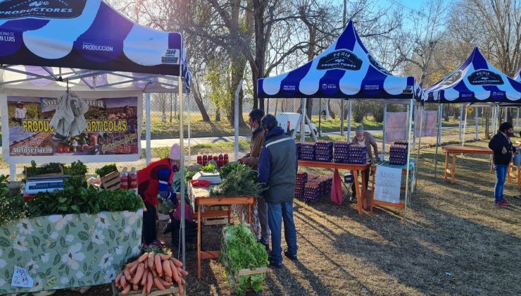 Comenzó la venta directa de Sol Puntano en Villa Mercedes