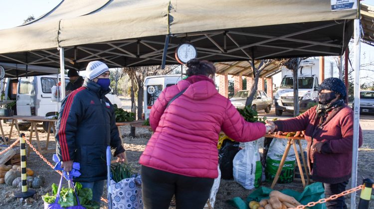 Arrancó otra venta directa en el predio de Sol Puntano