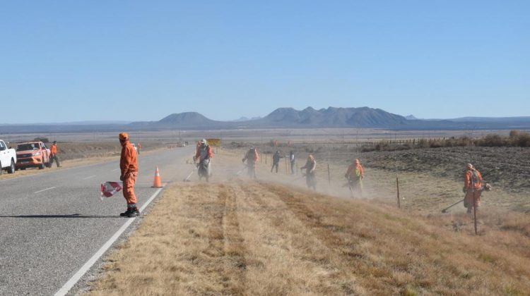 Forestan con álamos el tramo de la ruta provincial Nº10 que une a La Toma con La Punilla