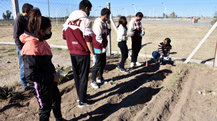 Estudiantes de la Escuela Generativa “Terra Mater” comenzaron a crear huertas