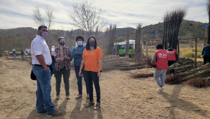 San Luis adquirió 100 mil estacas que se destinarán a diferentes proyectos forestales