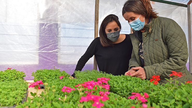 El Gobierno de San Luis puso en funcionamiento el Vivero de Flores