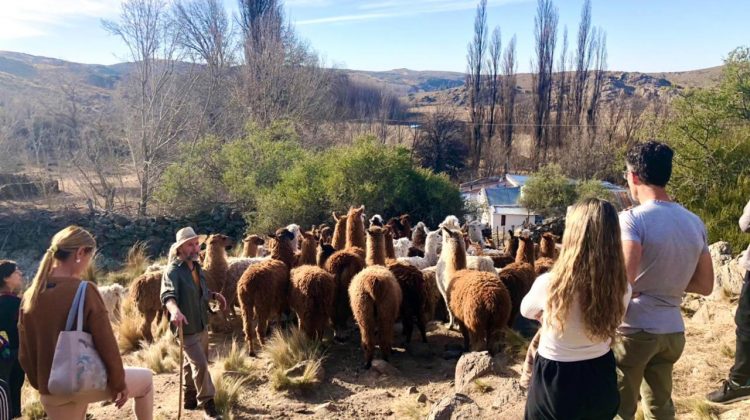 Antu Ruca: naturaleza plena en el corazón de las Sierras Centrales