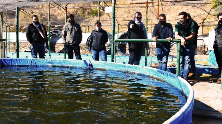 San Luis Agua sumó reproductores para la Estación de Piscicultura Río Grande