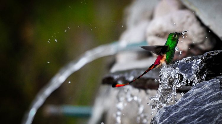 Se mantienen las máximas en 18°C, pero las mínimas siguen bajo cero en muchos lugares