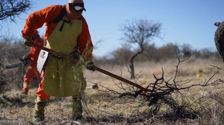 Continúa los cuidados de los espacios naturales de Terrazas del Portezuelo