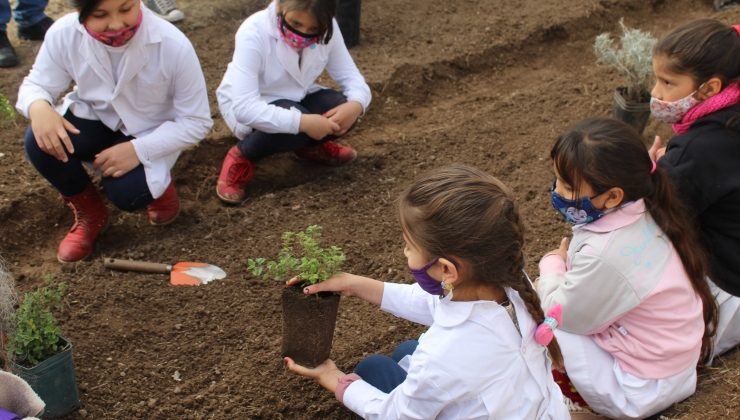 Se puso en marcha la primera huerta en la Escuela N°184 “Manuel Belgrano”