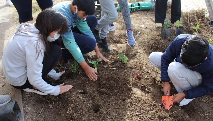 Las huertas agroecológicas continúan llegando a distintas escuelas de la provincia