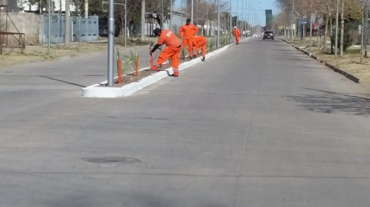 Una postal más floral en el nuevo ingreso a Villa Mercedes