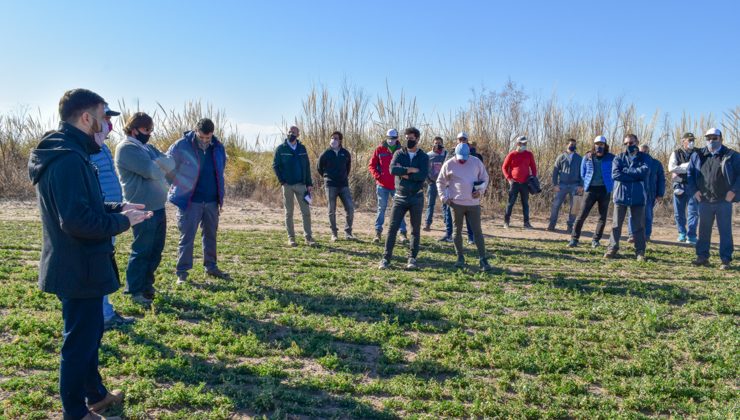 El ministro Lavandeira visitó un campo experimental de producción de alfalfa