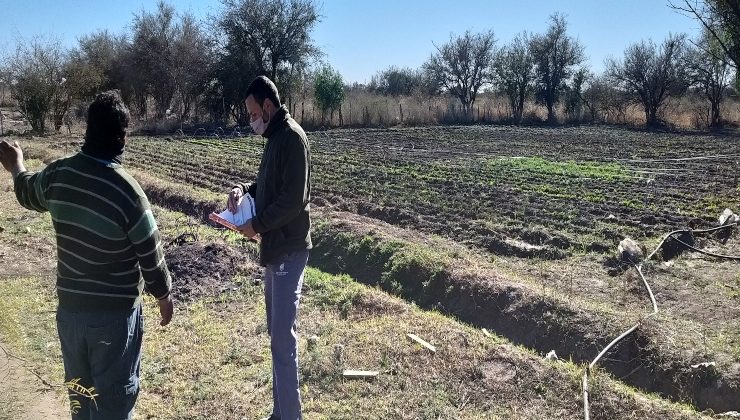San Luis Agua ya realiza el censo de cultivo a los usuarios que completaron la Intención de Siembra