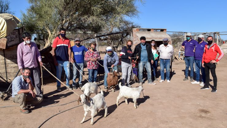 Continúan las acciones para el desarrollo caprino del norte provincial