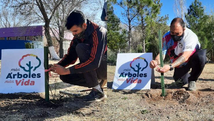 “Miércoles Verde”: forestación y conciencia ambiental en el Velódromo Provincial   