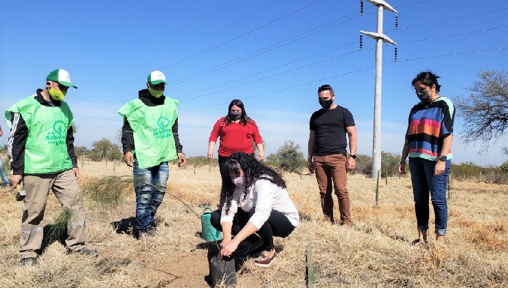 El Gobierno de San Luis inició la forestación de 9.200 árboles que llenarán de verde el tramo San Luis-Villa de la Quebrada