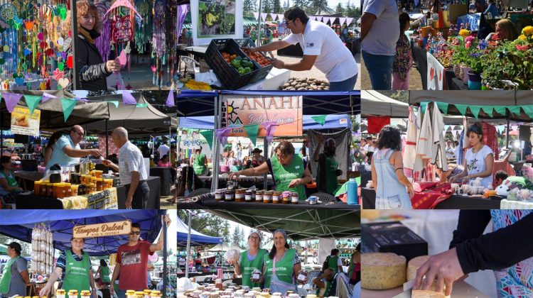 Este sábado, el Parque de las Naciones tendrá otra vez stands, productos, artesanías, música y arte