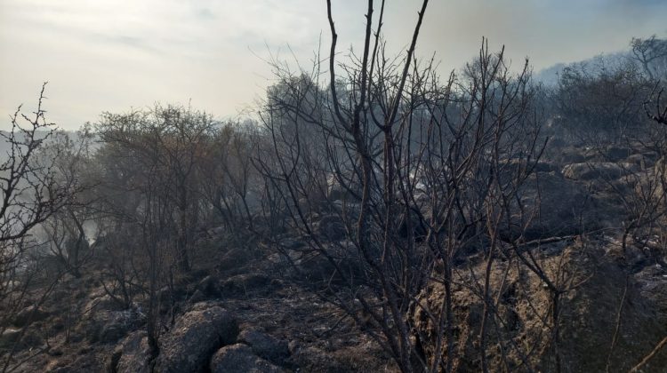 Controlaron el incendio en Potrero de los Funes