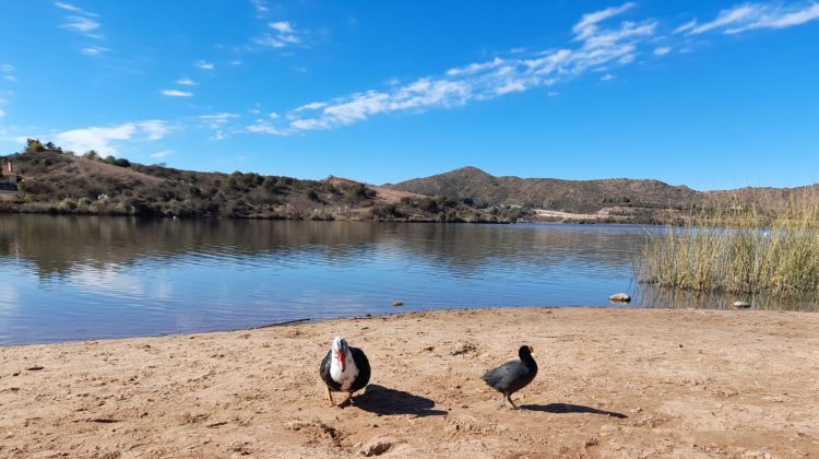 Lunes con mínimas frías, pero con el avance del día el termómetro treparía hasta los 26°C