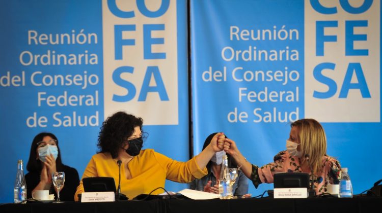 Finalizó la reunión del Consejo Federal de Salud en San Luis