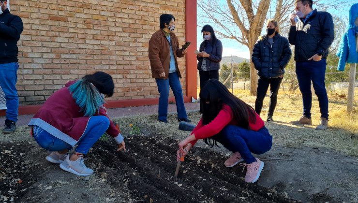 Continúa la puesta en marcha del proyecto “Manos en la Huerta”